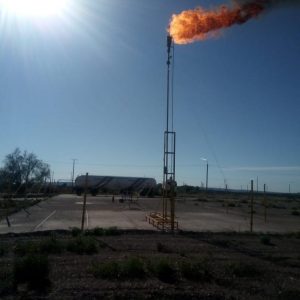 WhatsApp Image 2021-08-09 at 10.59.05 PM (2)