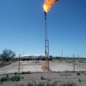 WhatsApp Image 2021-08-09 at 10.59.05 PM